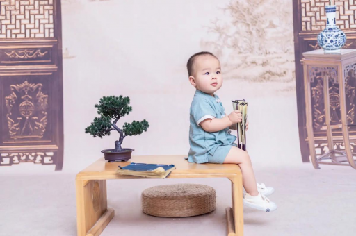 三亚可爱的企鹅宝宝
